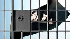 pirate-jail-thumb-230x130-2644-f